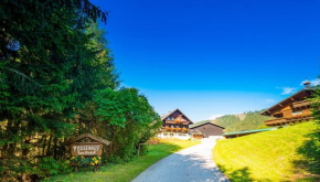 Apartment EVA, 1 Schlafzimmer mit Balkon, Schladming, Österreich